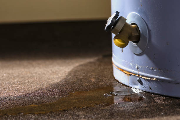 Best Water damage restoration services  in Huntington, WV