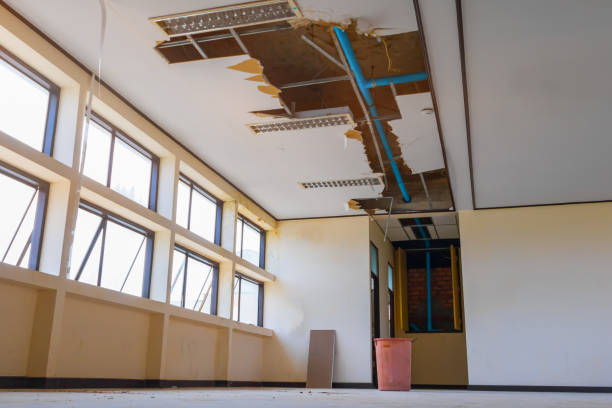Best Basement water damage restoration  in Huntington, WV