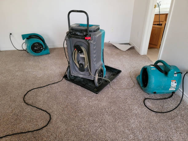 Best Flood restoration services  in Huntington, WV