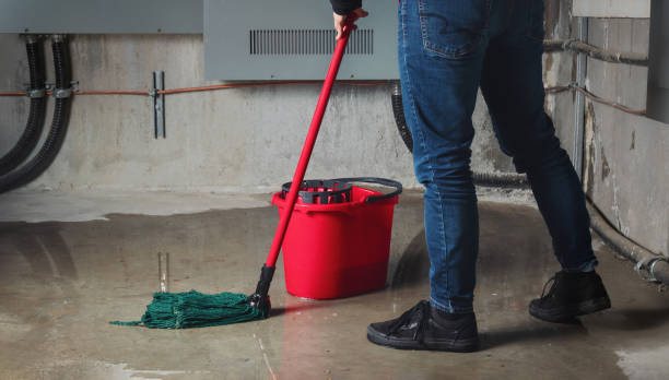 Best Mold removal after water damage  in Huntington, WV