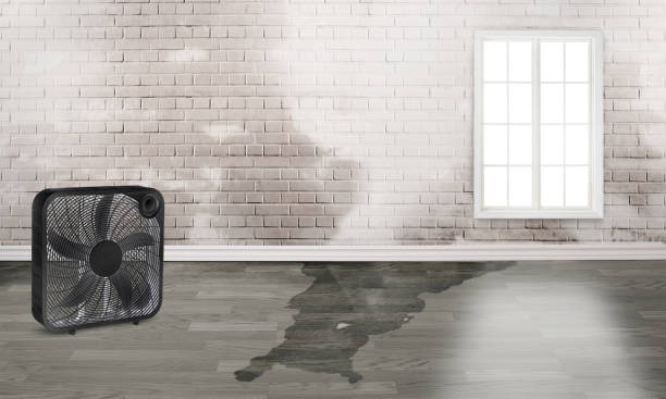  Huntington, WV Water damage restoration Pros