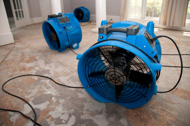 Best Water damage restoration near me  in Huntington, WV