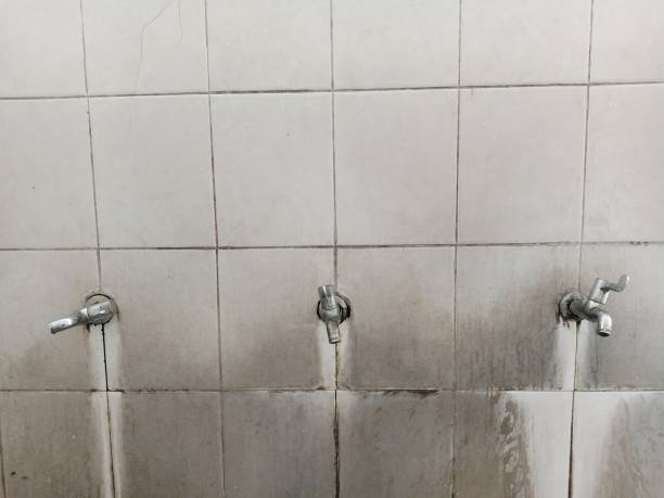Best Local water damage restoration  in Huntington, WV